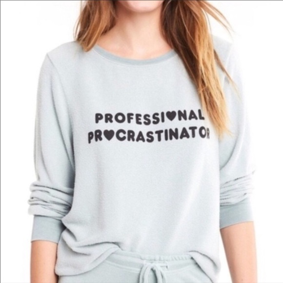 Wildfox Professional Procrastinator Pullover Small , Large - Picture 1 of 6